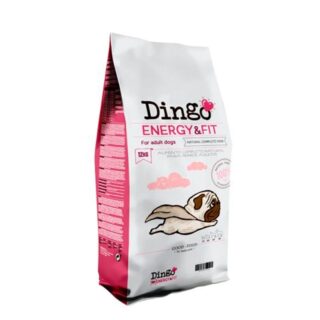 Dingo Energy & Fit