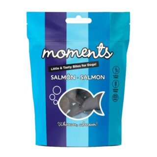 Dingo Moments Snack Salmón 60gr