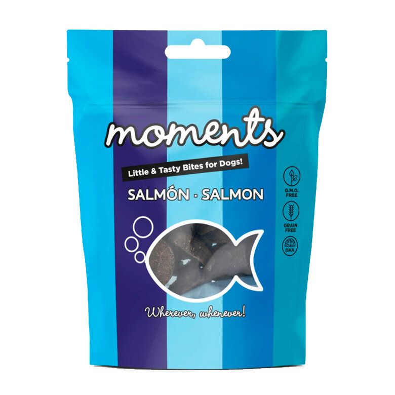 Dingo Moments Snack Salmón 60gr