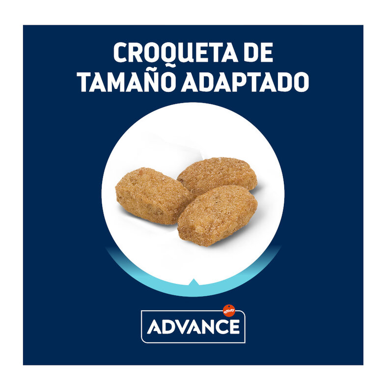 Advance Active Defense Gato Esterilizado con Pavo - Imagen 3